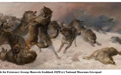 Manchester Museum Launches ‘From The War of Nature’ Exhibition