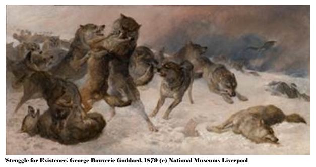 Manchester Museum Launches ‘From The War of Nature’ Exhibition