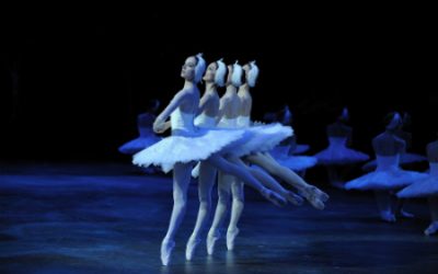Previewed: Swan Lake at the Palace Theatre