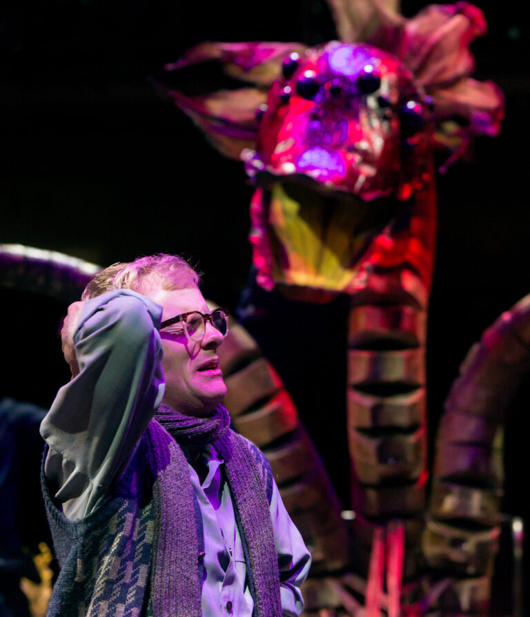 Gunnar Cauthery as Seymour Krelborn in LITTLE SHOP OF HORRORS (Royal Exchange Theatre Dec14-Jan15). Photo - Jonathan Keenan
