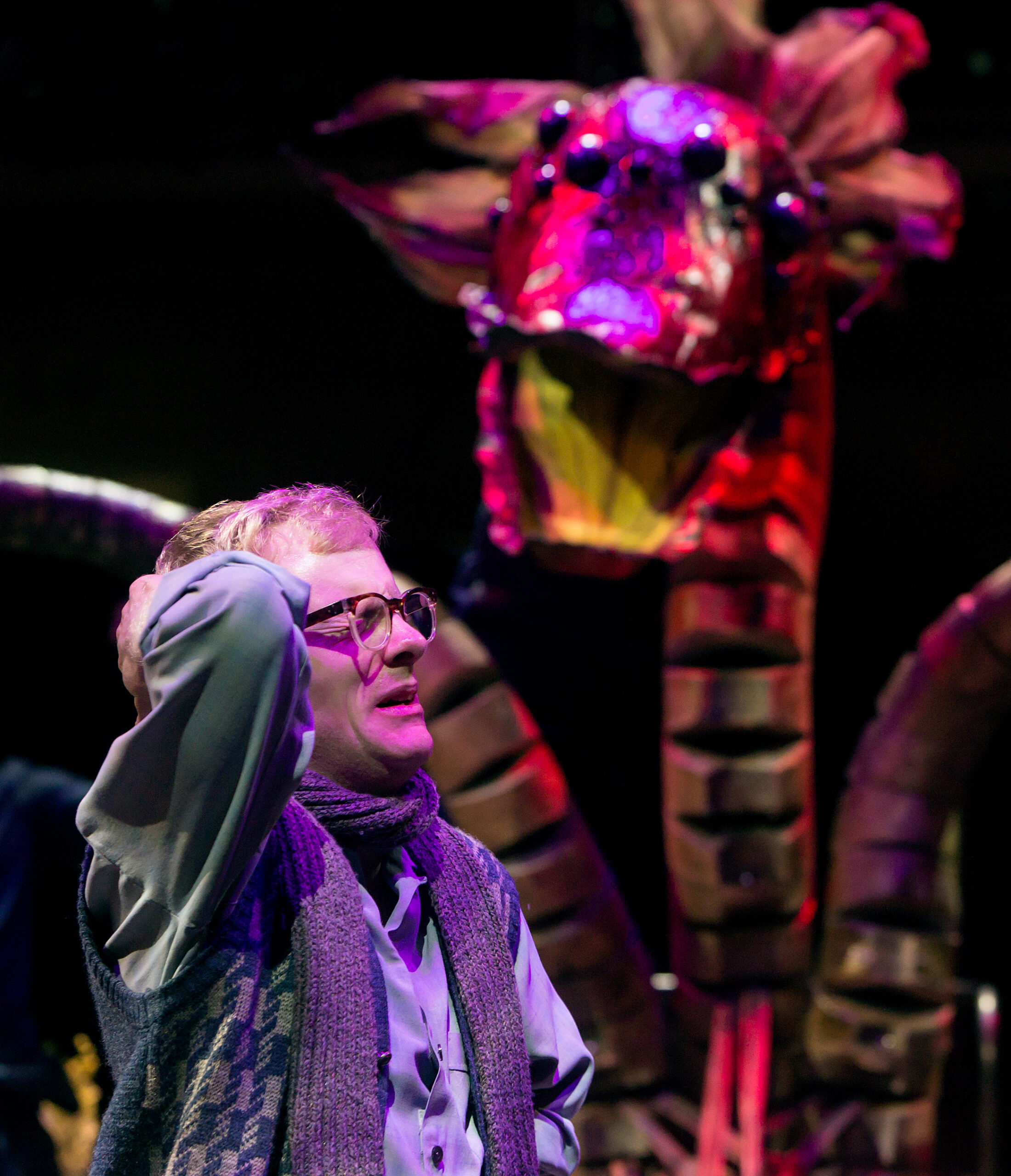 Gunnar Cauthery as Seymour Krelborn in LITTLE SHOP OF HORRORS (Royal Exchange Theatre Dec14-Jan15). Photo - Jonathan Keenan