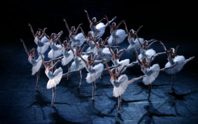 In Review: Swan Lake by the Moscow City Ballet