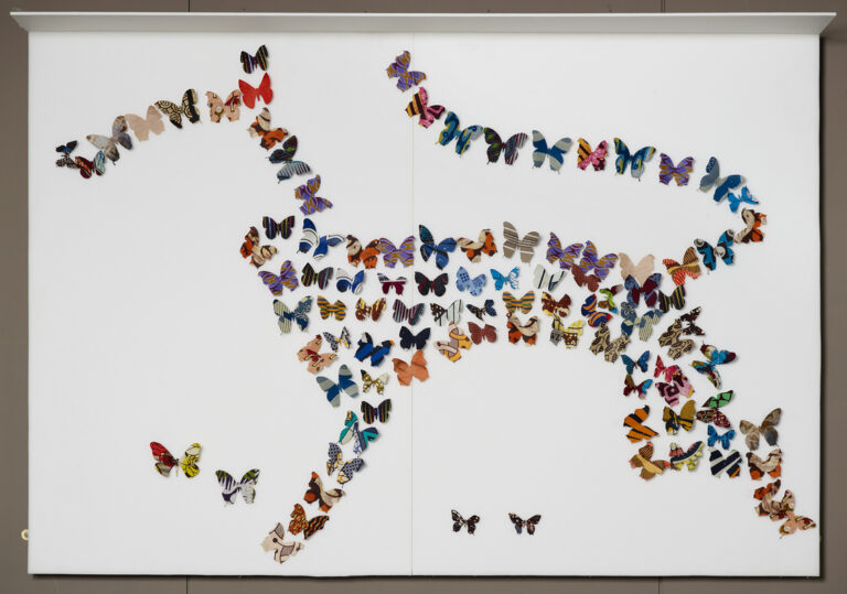 image of Dance of the Butterflies by Romuald Hazoume