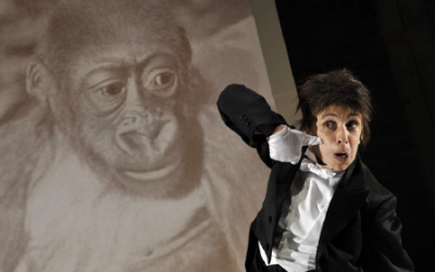 Previewed: Kafka’s Monkey at Home