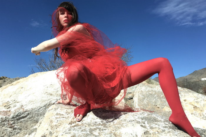 image of Le Butcherettes