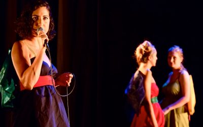 Sleepwalk Collective bring new show Domestica to Home