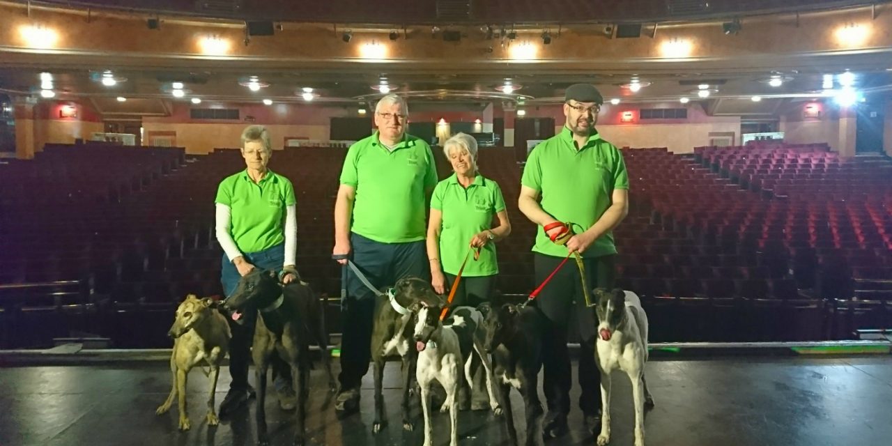 Two rescue greyhounds to feature in Rigoletto at Manchester Opera House