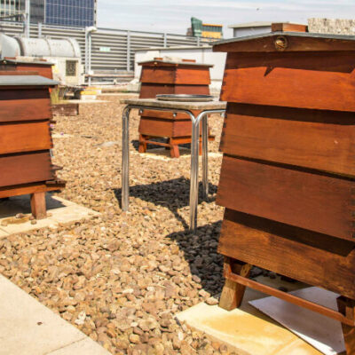 The Printworks rooftop garden