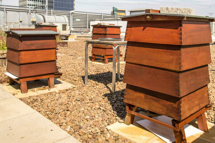 The Printworks rooftop garden