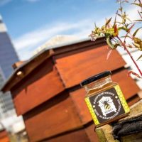 The Printworks is selling Manchester honey for charity