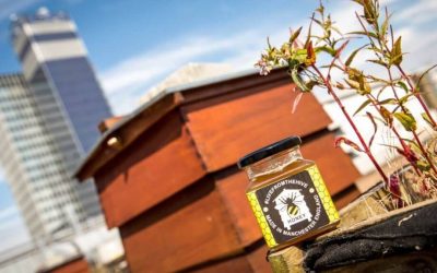 Printworks and Hard Rock Cafe selling Manchester honey for charity