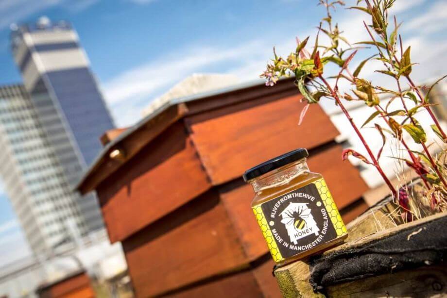 Printworks and Hard Rock Cafe selling Manchester honey for charity