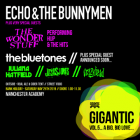 Manchester Academy will host the Gigantic All Dayer volume 5