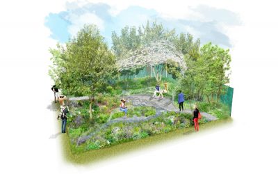 The Manchester Garden to debut at RHS Chelsea Flower Show