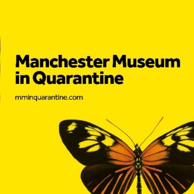 Manchester Museum in Quarantine