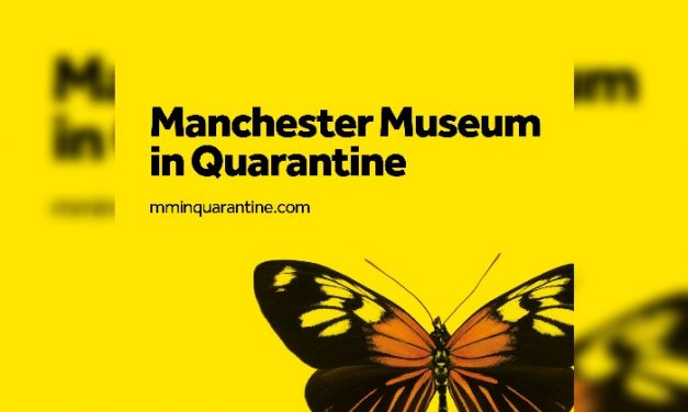Manchester Museum launches Egyptology in Lockdown Live