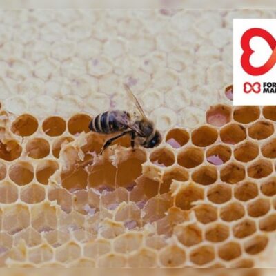 The Printworks - Manchester bee