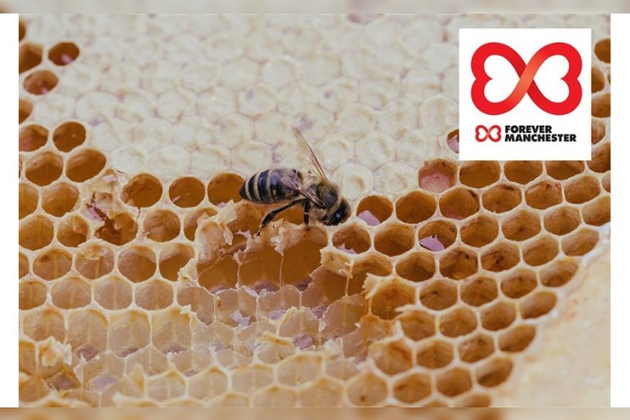 The Printworks - Manchester bee