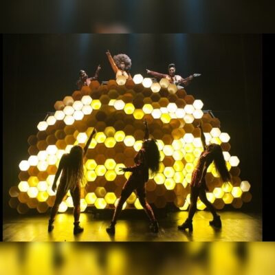 Hot Brown Honey Dont Touch My Hair