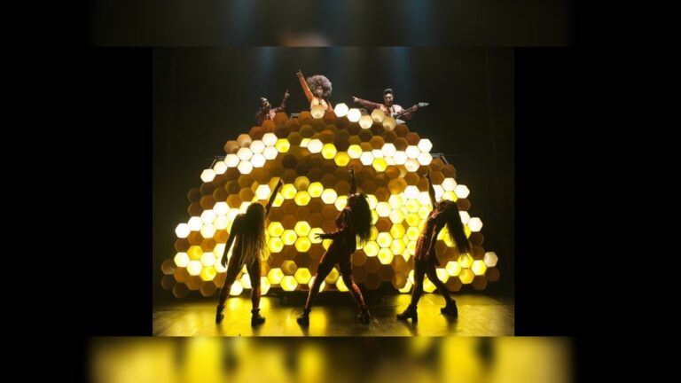 Hot Brown Honey Dont Touch My Hair