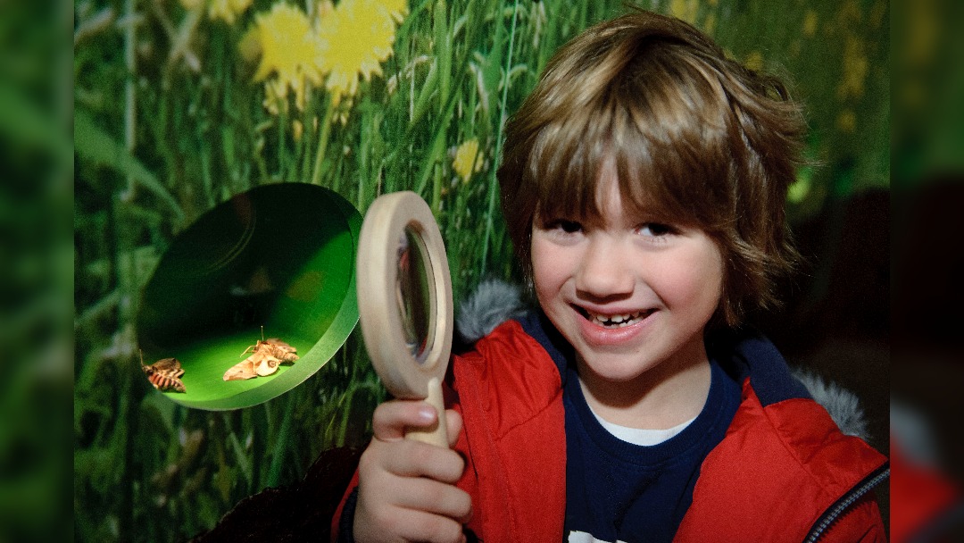 Manchester Museum invites visitors to be inspired by nature