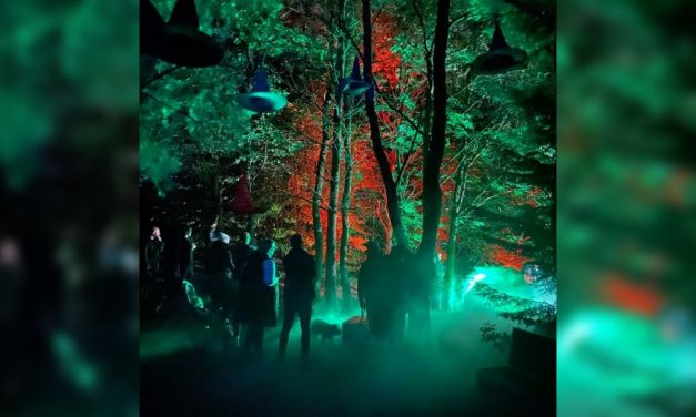 A new Halloween light trail is coming to Cheshire