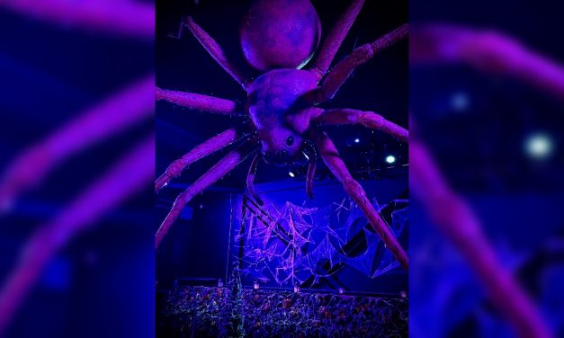 Giant spider takes nest at Eureka! Science + Discovery