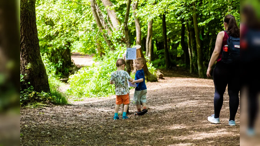 Manchester Family - book hunt