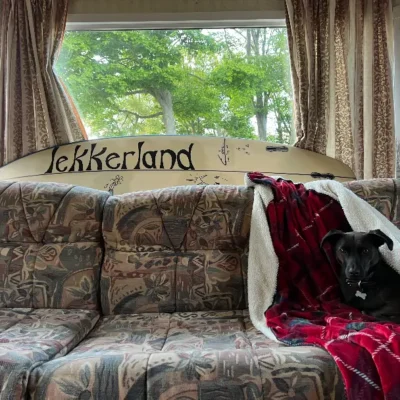 promotional image of a dog sat in a caravan for Casey Lowery's Lekkerland EP
