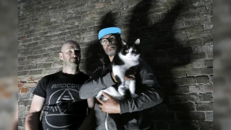 promotional image of Amplifier with a cat