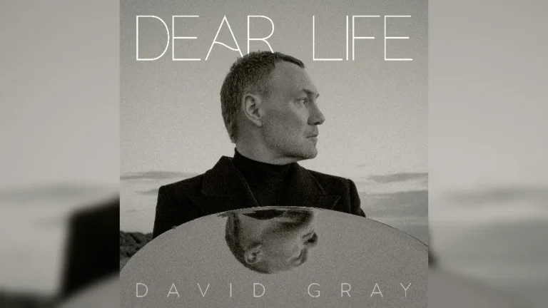 David Gray - Dear Life album artwork