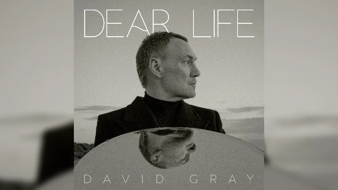 David Gray - Dear Life album artwork
