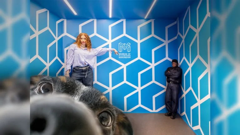 Manchester Museum of Illusions - Dog Day